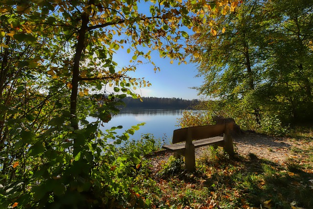 德国青训采 德国青训采