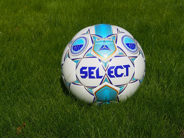 了飞翔的力 了飞翔的力