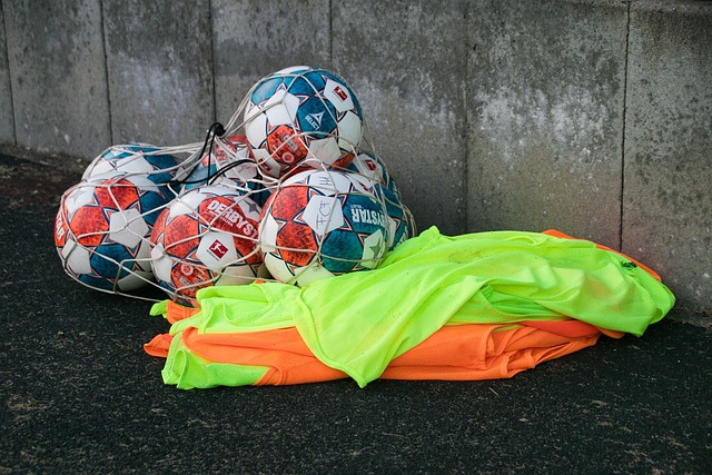 这对于未来 这对于未来