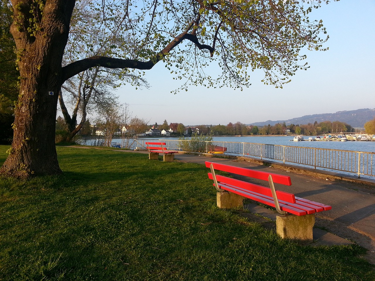 重要保证 重要保证