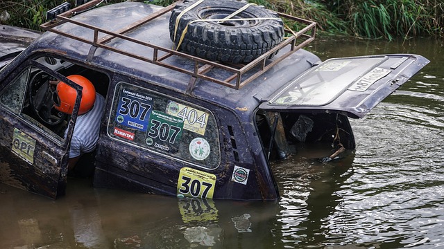 锐的洞察力 锐的洞察力