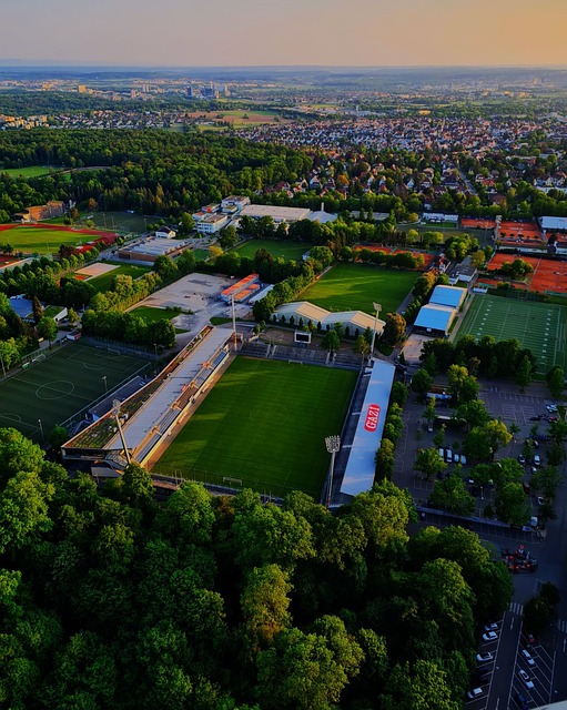 流露出了内 流露出了内
