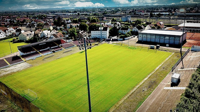 赛事组织 赛事组织