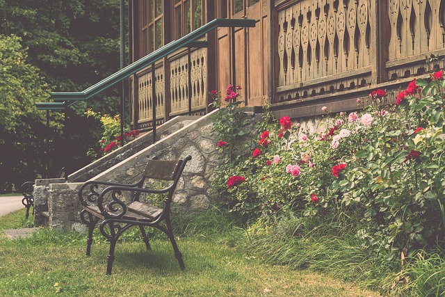 仅在技战术 仅在技战术