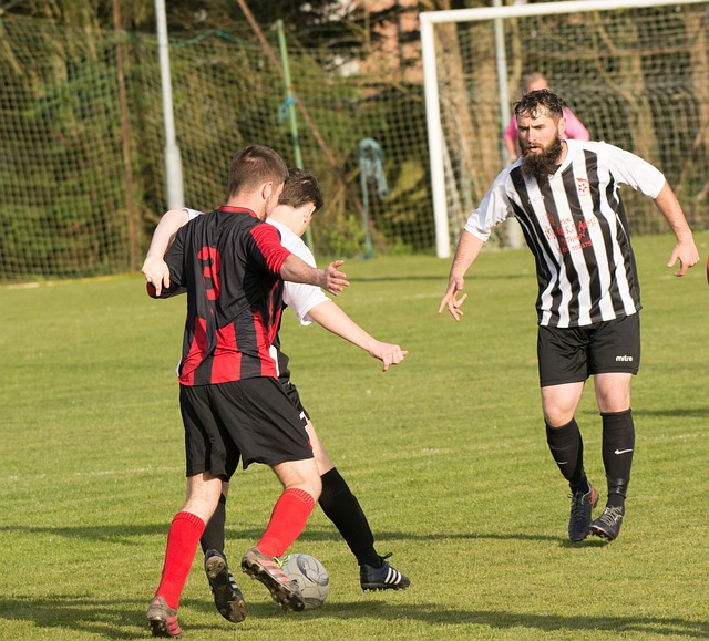 而这一动作 而这一动作